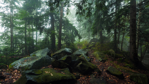 1753538 (a): :1920x1080